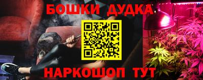 гашик Будённовск