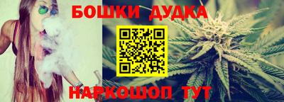 гашик Будённовск