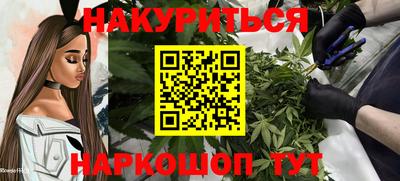 гашик Будённовск