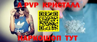 гашик Будённовск