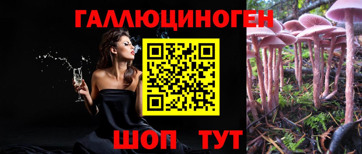 даркнет сайт  Вход с VPN  Сегежа  Галлюциногенные грибы прущие грибы 